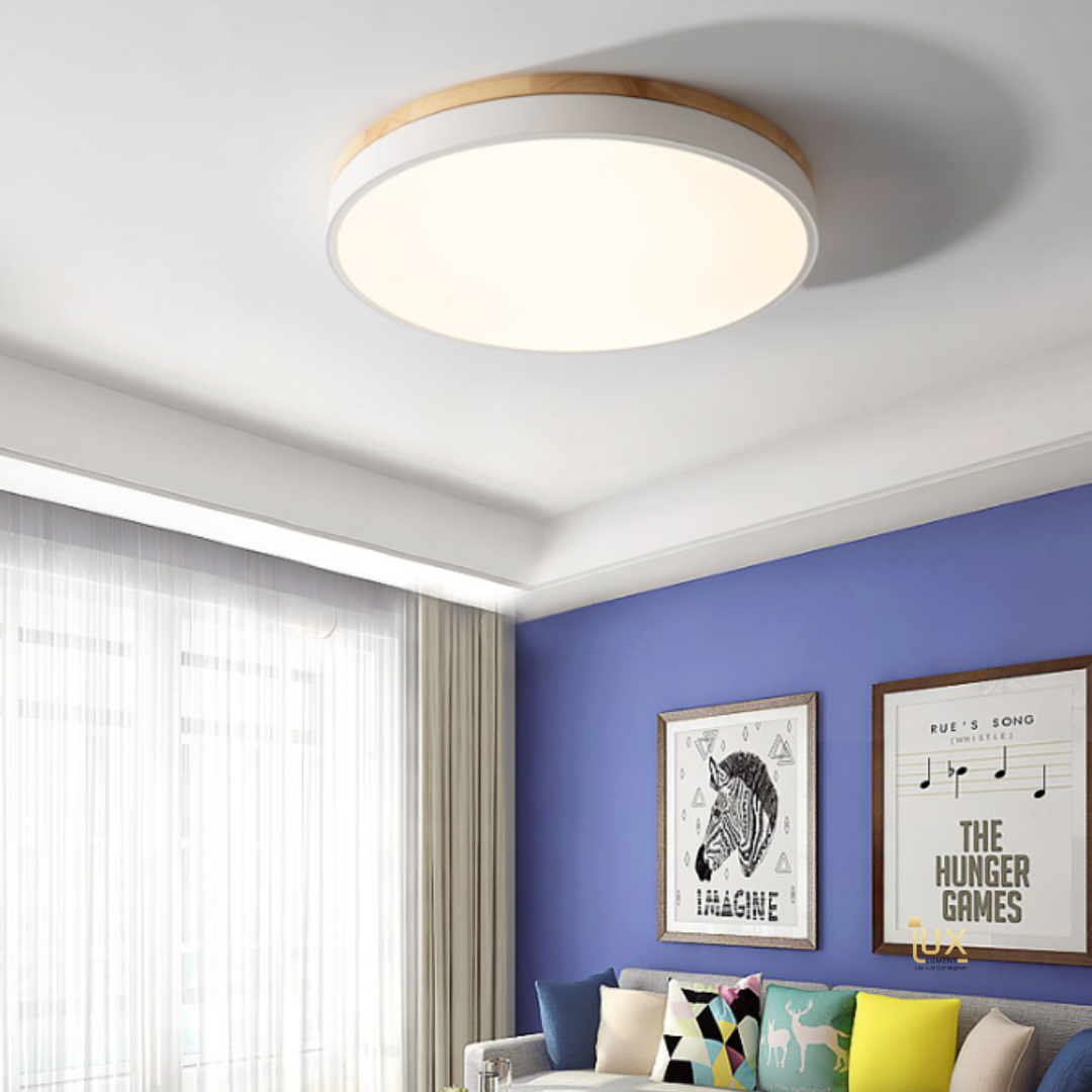 Living Room Ceiling Lights Next | Cabinets Matttroy